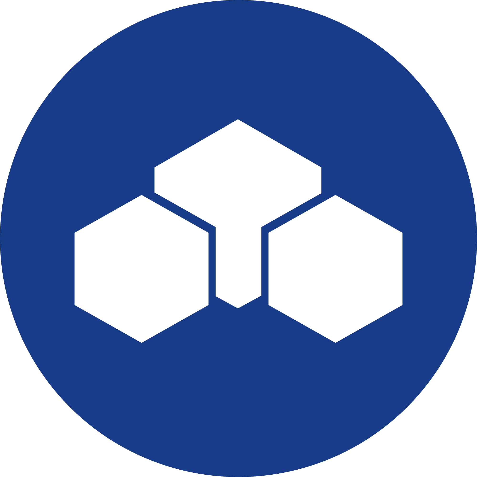 Zel (ZEL) logo